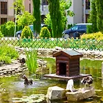 каскадас в54 * Слънчев бряг