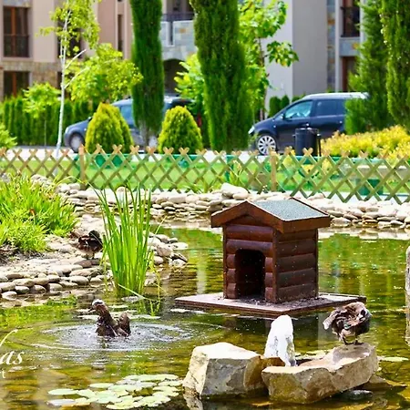 каскадас в54 * Sunny Beach